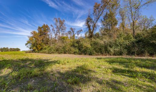 Photo #21 of SOLD property in Off Highway 111, Chinquapin, NC 13.6 acres