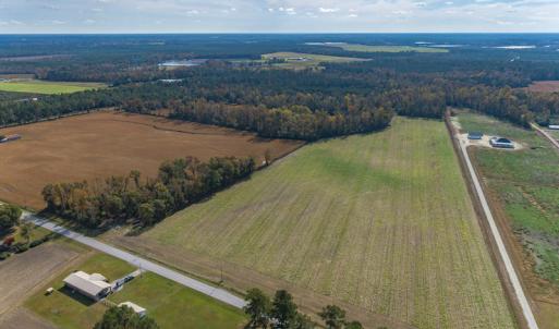 Photo #4 of SOLD property in Off Highway 111, Chinquapin, NC 13.6 acres