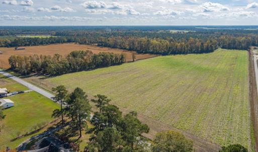 Photo #5 of SOLD property in Off Highway 111, Chinquapin, NC 13.6 acres