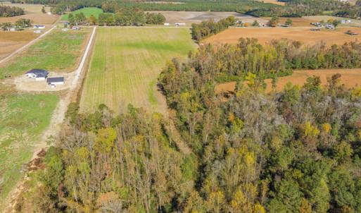 Photo #8 of SOLD property in Off Highway 111, Chinquapin, NC 13.6 acres