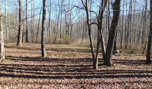 Photo #11 of SOLD property in Off Laurel Fork Road, Rocky Gap, VA 55.0 acres