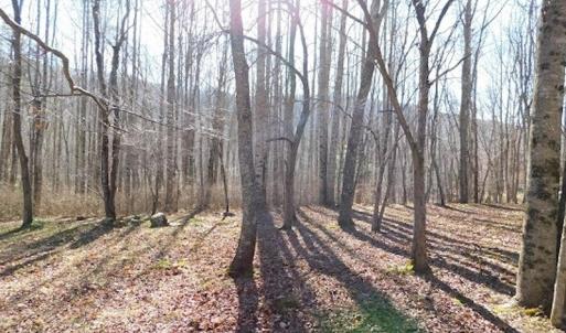 Photo #12 of SOLD property in Off Laurel Fork Road, Rocky Gap, VA 55.0 acres