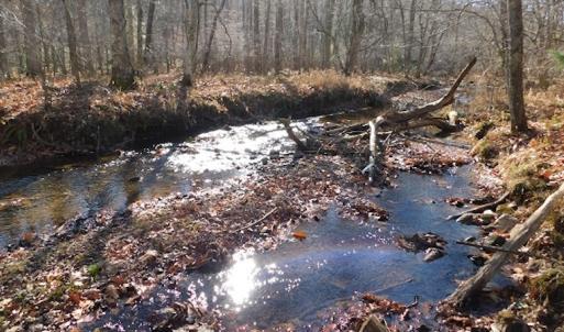Photo #14 of SOLD property in Off Laurel Fork Road, Rocky Gap, VA 55.0 acres