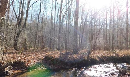 Photo #15 of SOLD property in Off Laurel Fork Road, Rocky Gap, VA 55.0 acres