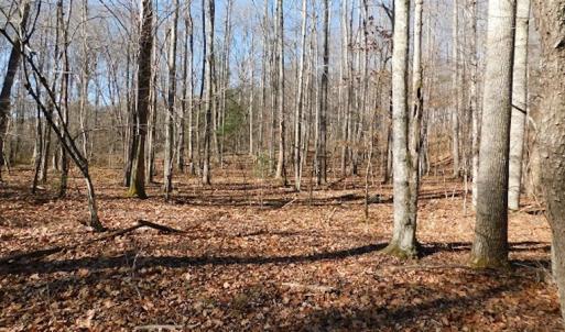 Photo #16 of SOLD property in Off Laurel Fork Road, Rocky Gap, VA 55.0 acres