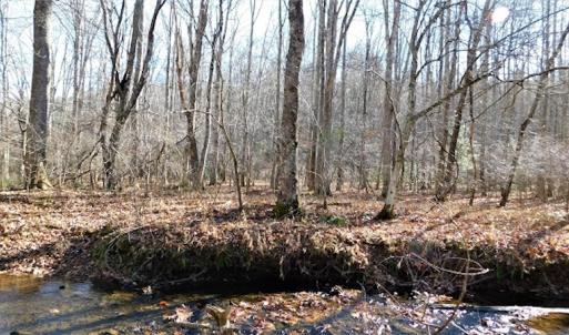 Photo #18 of SOLD property in Off Laurel Fork Road, Rocky Gap, VA 55.0 acres