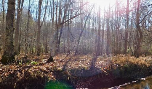Photo #19 of SOLD property in Off Laurel Fork Road, Rocky Gap, VA 55.0 acres