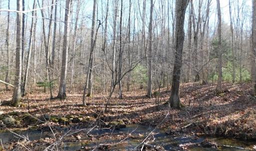Photo #20 of SOLD property in Off Laurel Fork Road, Rocky Gap, VA 55.0 acres