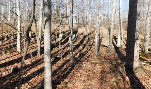 Photo #22 of SOLD property in Off Laurel Fork Road, Rocky Gap, VA 55.0 acres