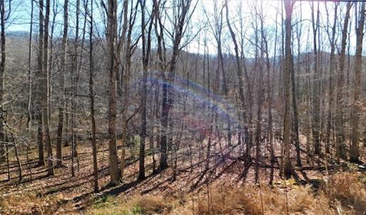 Photo #23 of SOLD property in Off Laurel Fork Road, Rocky Gap, VA 55.0 acres