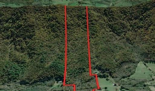 Photo #3 of SOLD property in Off Laurel Fork Road, Rocky Gap, VA 55.0 acres
