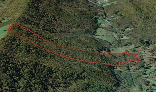 Photo #4 of SOLD property in Off Laurel Fork Road, Rocky Gap, VA 55.0 acres