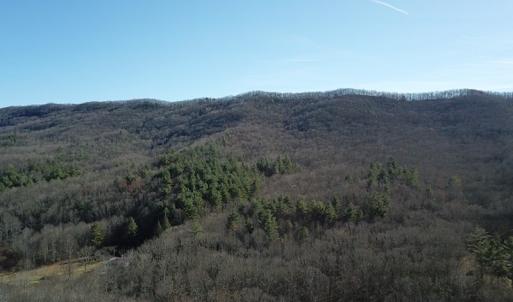 Photo #5 of SOLD property in Off Laurel Fork Road, Rocky Gap, VA 55.0 acres