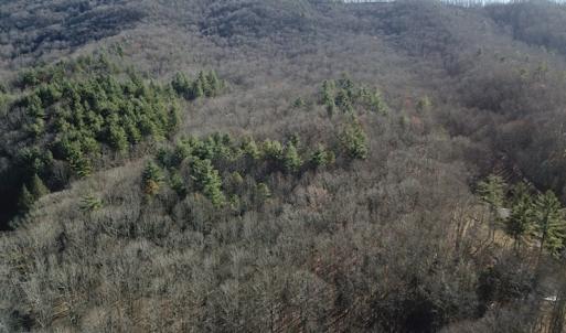 Photo #7 of SOLD property in Off Laurel Fork Road, Rocky Gap, VA 55.0 acres