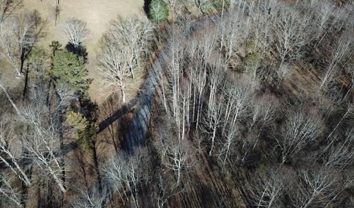 Photo #8 of SOLD property in Off Laurel Fork Road, Rocky Gap, VA 55.0 acres