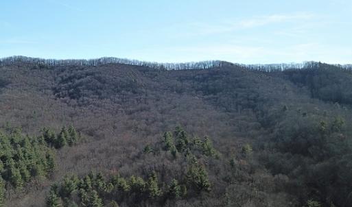 Photo #9 of SOLD property in Off Laurel Fork Road, Rocky Gap, VA 55.0 acres