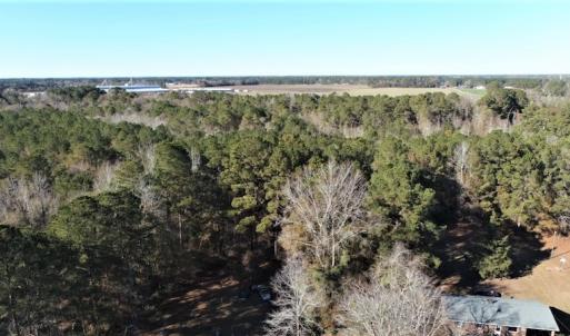 Photo #14 of SOLD property in Off Hwy 242, Bladenboro, NC 4.9 acres
