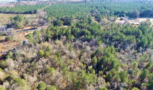 Photo #16 of SOLD property in Off Hwy 242, Bladenboro, NC 4.9 acres