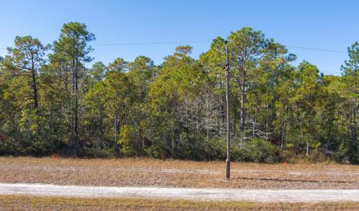 Photo #16 of SOLD property in Off Redwood Road, Southport, NC 14.7 acres