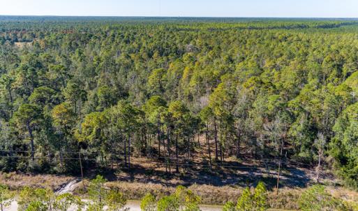 Photo #18 of SOLD property in Off Redwood Road, Southport, NC 14.7 acres