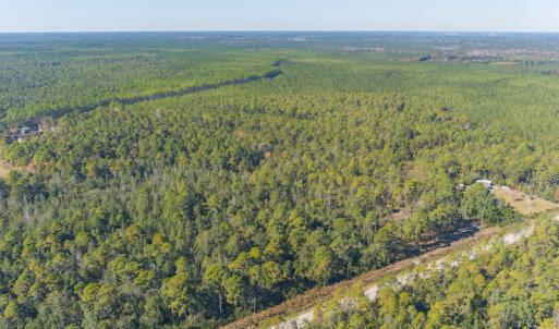 Photo #21 of SOLD property in Off Redwood Road, Southport, NC 14.7 acres