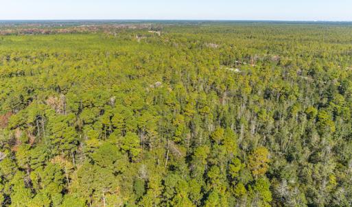 Photo #22 of SOLD property in Off Redwood Road, Southport, NC 14.7 acres