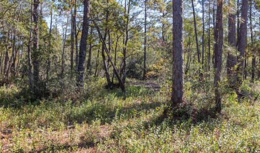 Photo #25 of SOLD property in Off Redwood Road, Southport, NC 14.7 acres