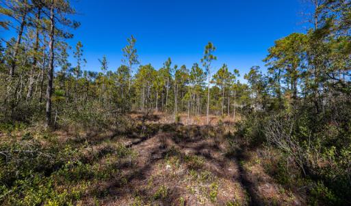 Photo #26 of SOLD property in Off Redwood Road, Southport, NC 14.7 acres