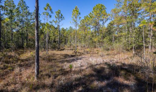 Photo #27 of SOLD property in Off Redwood Road, Southport, NC 14.7 acres