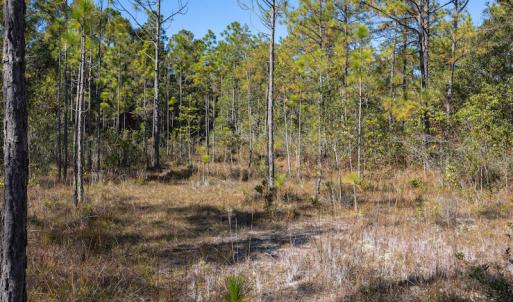 Photo #28 of SOLD property in Off Redwood Road, Southport, NC 14.7 acres
