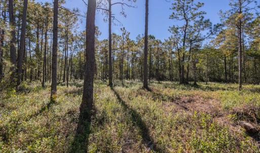 Photo #29 of SOLD property in Off Redwood Road, Southport, NC 14.7 acres
