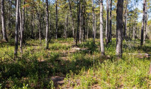 Photo #30 of SOLD property in Off Redwood Road, Southport, NC 14.7 acres