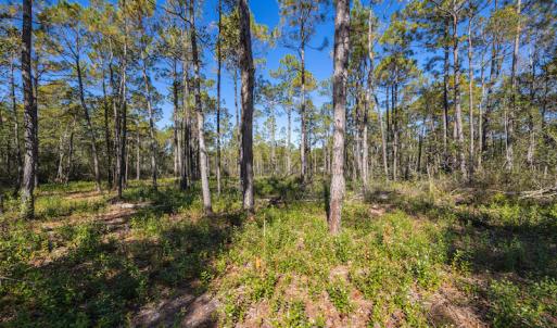 Photo #32 of SOLD property in Off Redwood Road, Southport, NC 14.7 acres