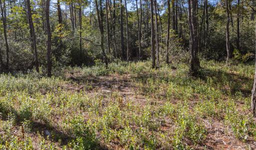 Photo #33 of SOLD property in Off Redwood Road, Southport, NC 14.7 acres