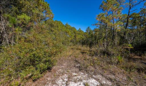 Photo #35 of SOLD property in Off Redwood Road, Southport, NC 14.7 acres