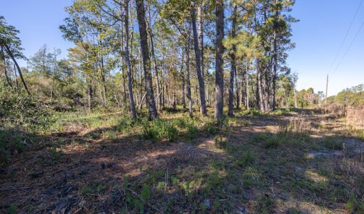 Photo #36 of SOLD property in Off Redwood Road, Southport, NC 14.7 acres
