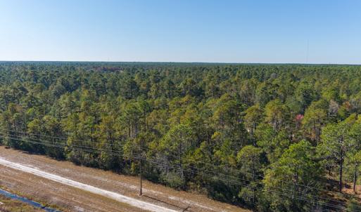 Photo #3 of SOLD property in Off Redwood Road, Southport, NC 14.7 acres