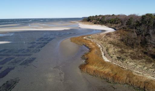 Photo #12 of SOLD property in Off Hungars Beach Road, Cape Charles, VA 1.6 acres