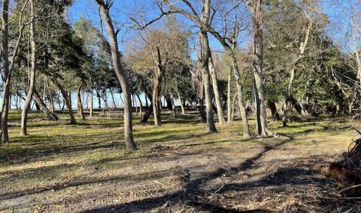 Photo #20 of SOLD property in Off Hungars Beach Road, Cape Charles, VA 1.6 acres