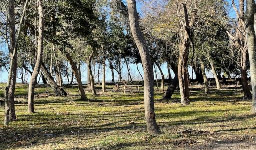 Photo #21 of SOLD property in Off Hungars Beach Road, Cape Charles, VA 1.6 acres