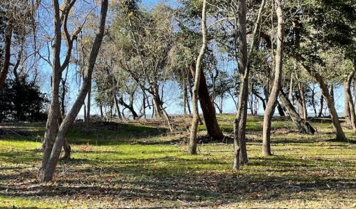Photo #22 of SOLD property in Off Hungars Beach Road, Cape Charles, VA 1.6 acres