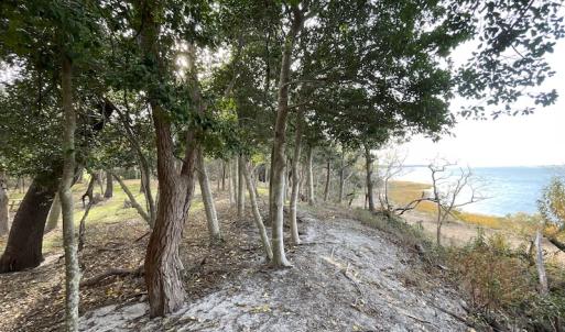 Photo #27 of SOLD property in Off Hungars Beach Road, Cape Charles, VA 1.6 acres