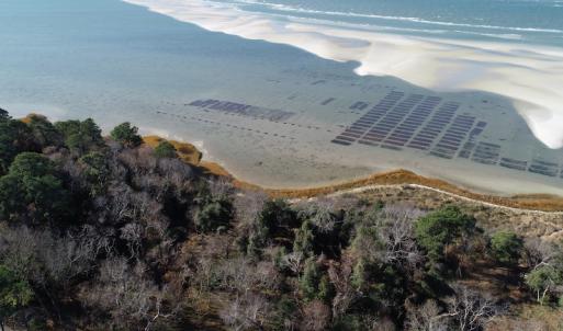 Photo #7 of SOLD property in Off Hungars Beach Road, Cape Charles, VA 1.6 acres