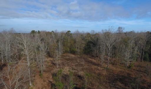 Photo #2 of SOLD property in Near 136 Lawrence Tedder Road, Whiteville, NC 10.0 acres
