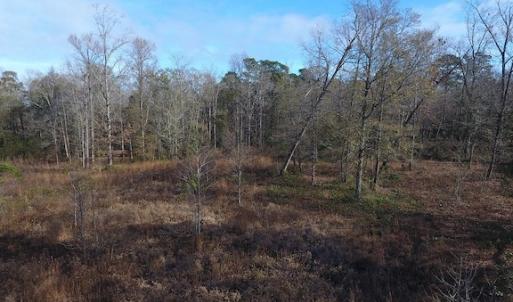Photo #5 of SOLD property in Near 136 Lawrence Tedder Road, Whiteville, NC 10.0 acres