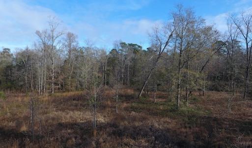 Photo #7 of SOLD property in Near 136 Lawrence Tedder Road, Whiteville, NC 10.0 acres