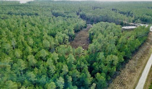 Photo #3 of Lot #28 Sandy Point, Scranton, NC 19.0 acres