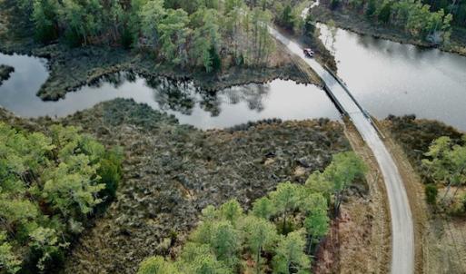 Photo #6 of Lot #28 Sandy Point, Scranton, NC 19.0 acres