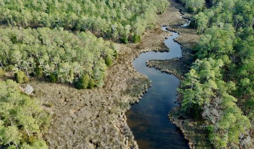 Photo #7 of Lot #28 Sandy Point, Scranton, NC 19.0 acres