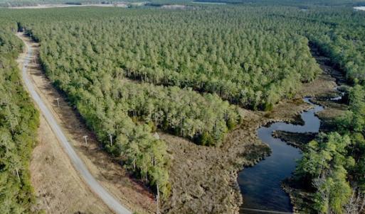 Photo #8 of Lot #28 Sandy Point, Scranton, NC 19.0 acres